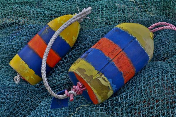 Oregon, Garibaldi Blue fishing nets with buoys